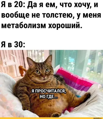 Чехол-книжка на Tecno Spark 10 с принтом \"Милые котики\" золотистый, купить  в Москве, цены в интернет-магазинах на Мегамаркет