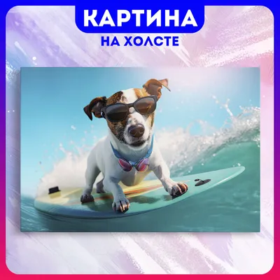 Украинские звезды и их забавные собаки - Караван