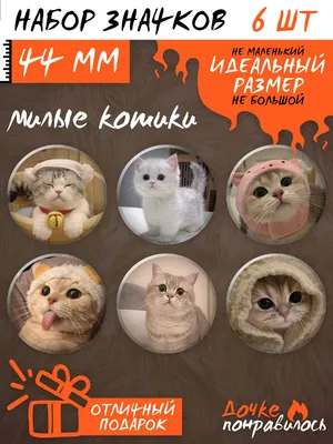 Смешные котята Ниндзя в смешной …» — создано в Шедевруме
