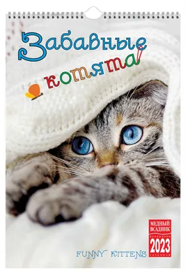 Календарь 2024г 160*170 \"Забавные котята\" настенный, на скрепке • , купить  по низкой цене, читать отзывы в Book24.ru • Эксмо-АСТ • ISBN , p6794870