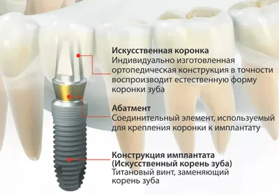 Скарлатина у взрослых: признаки, симптомы, диагностика, как передается,  лечение