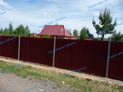 Забор из профнастила С8 с ковкой купить в Москве, цена от 1170 руб. |  Стройзабор