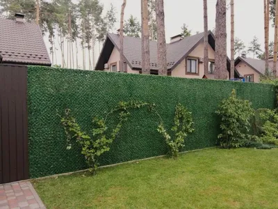 Заборы картинки фотографии