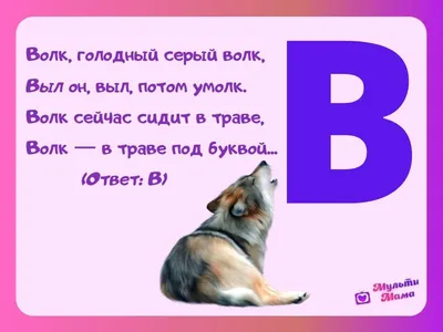 Загадки про букву Т — изучаем русский алфавит