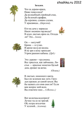 Загадки про деревья для детей