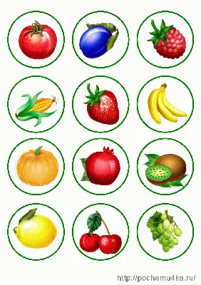 Овощи, фрукты, ягоды. Фотокнига для самых маленьких - купить книгу с  доставкой в интернет-магазине «Читай-город». ISBN: 978-5-95-672851-2