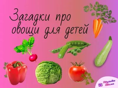 100 загадок про овощи для детей и взрослых с ответами