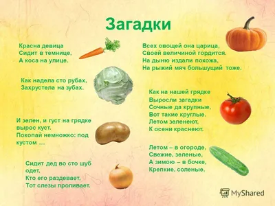Загадки про овощи