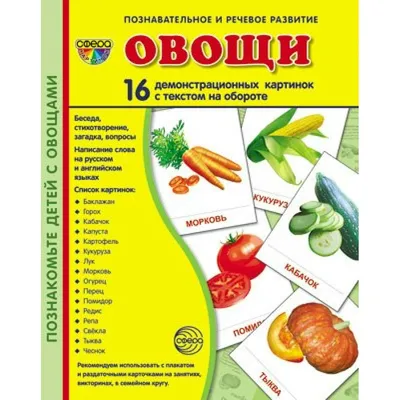 Лэпбук «Овощи» (9 фото). Воспитателям детских садов, школьным учителям и  педагогам - Маам.ру