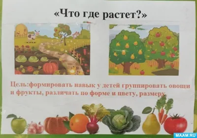 Книжки-картонки. Овощи - купить с доставкой по Москве и РФ по низкой цене |  Официальный сайт издательства Робинс