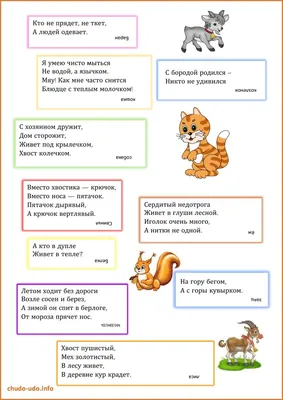 Загадки про животных для детей | Для детей, Загадки, Занятия для  дошкольников