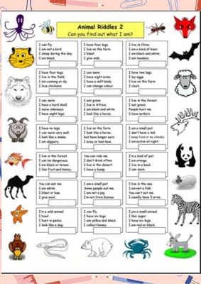 Загадки на английском языке про животных для детей | Задания для детей:  дошкольников и младшей школы