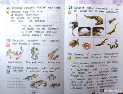 Иллюстрация 29 из 40 для Окружающий мир. 1 класс. Рабочая тетрадь. В 2-х  частях. Часть 2. ФГОС - Поглазова, Шилин | Лабиринт - книги. Источник:  Соловьев Владимир