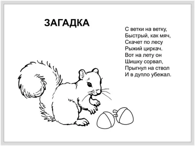 30 ✔️ загадок про животных для детей 6–7 лет и 8–9 с ответами | \"Где мои  дети\" Блог