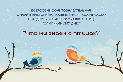 Лэпбук «Зимующие птицы» с загадками, ребусами, картинками, кроссвордами (8  фото). Воспитателям детских садов, школьным учителям и педагогам - Маам.ру