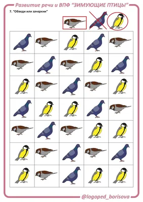 Загадки о птицах - online presentation
