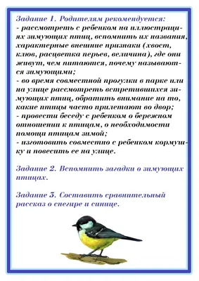 Презентация на тему: \"Проект «Зимующие птицы нашего края» \". Скачать  бесплатно и без регистрации.