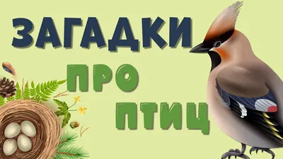 Личный сайт учителя-логопеда Тимофеевой Елены Ивановны