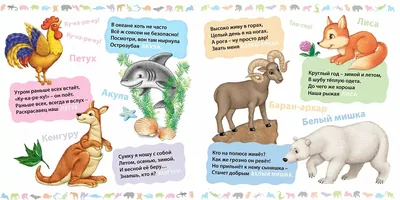 Загадки о животных - купить с доставкой по Москве и РФ по низкой цене |  Официальный сайт издательства Робинс