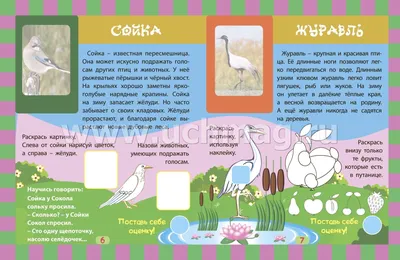 Издательство Фламинго Загадки для детей в стихах детские развивающие книги  набор