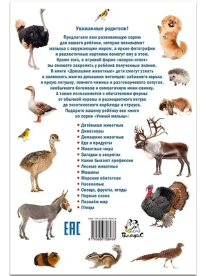 №9 Мини-книга «Загадки про животных»: 50 страниц