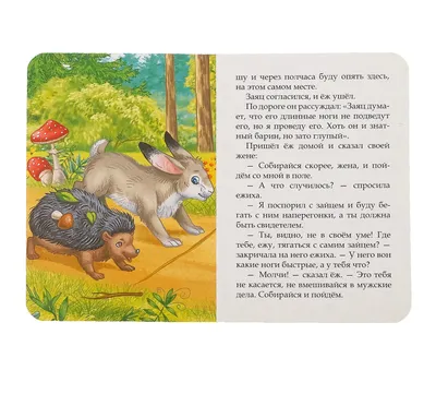 Книга Еж и заяц - купить детской художественной литературы в  интернет-магазинах, цены на Мегамаркет |