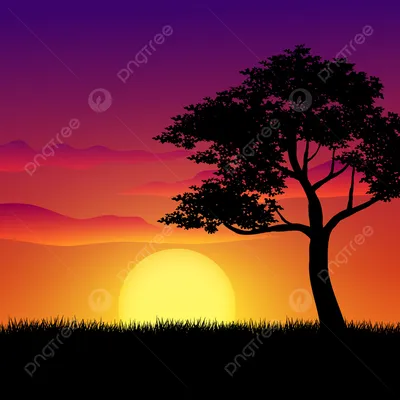 закат природа пейзаж с большим деревом, дерево, трава, декорации фон  картинки и Фото для бесплатной загрузки