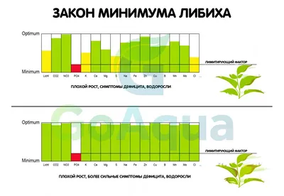 Власти приняли закон об исключении иностранцев из цепочки владения крупными  компаниями - Ведомости