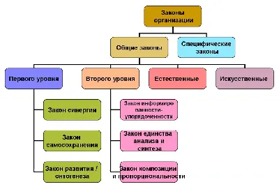 115-ФЗ для бухгалтеров | Федеральный закон для самозанятых и аутсорсов