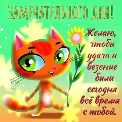 Картинка: Замечательного дня!