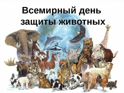 Всемирный день защиты животных - РИА Новости, 04.10.2020