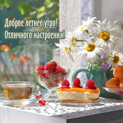 Николаич on X: \"Доброе утро, друзья! Завтра уже лето!!! 😊💗 Отличного всем  весеннего денёчка последнего в этом году! 🌷✨)) https://t.co/3wPCrSKeQD\" / X