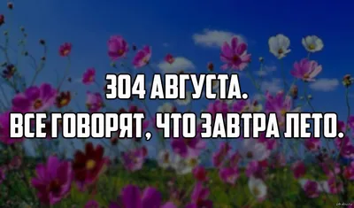 Фестиваль равных возможностей «Завтра лето!» в Новополье - Гатчинская правда