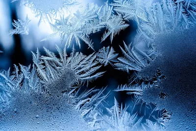 На завтра есть свободное окно в 14:00 Порадуйте себя в первый день зимы |  Зима, Окно, Себу