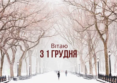 Афиша ПМР - Дорогие папы и мамы, завтра первый день зимы,... | Facebook