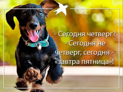 ❤ Ура-а-а завтра пятница ,пятница, пятница, пятница. ❤ Скидка 20%!!! ❤  Скидка за наличный и безналичный расчет!!! ❤ Ждем Вас в… | Instagram