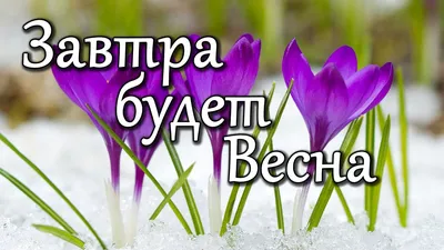 А завтра-Весна! :: ZNatasha - – Социальная сеть ФотоКто