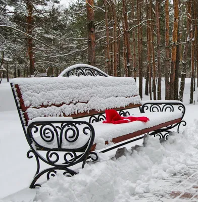 А завтра весна.... Фотограф Валерий Наумов