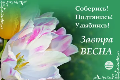 Завтра Весна Картинки фотографии