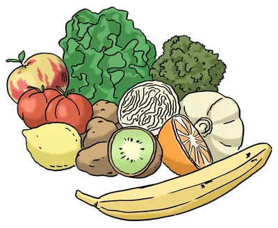 Рисунок с изображением здоровой пищи