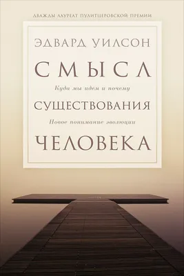 Значение микрофлоры для успешного переноса эмбриона и вынашивания  беременности — Reprolife