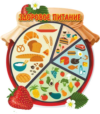Здоровое питание без вреда для здоровья — Евгения Дашкова