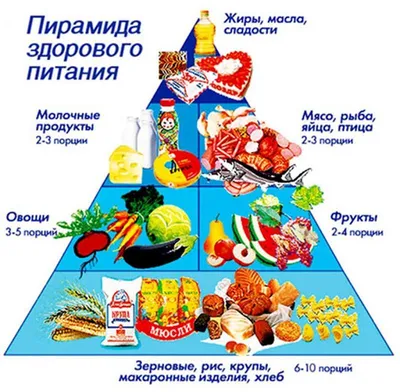 Здоровое питание плакат глянцевый А1+/А2+ › Купить оптом и в розницу › Цена  от завода