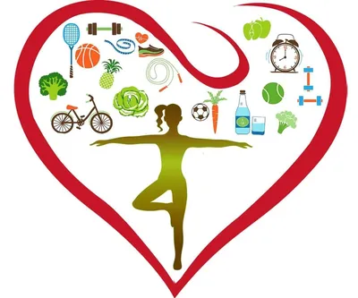 Понятие здоровый образ жизни включает в себя целый комплекс составляющих  компонентов. / Администрация городского округа Ступино