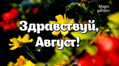 Здравствуй,Август!Вот и лето на исходе. ~ Открытка (плейкаст)