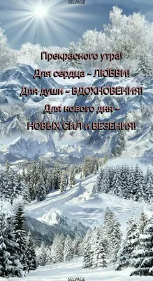 Здравствуй, Февраль! Пусть будет побольше солнечных дней, несмотря на  морозы! ~ Открытка (плейкаст)