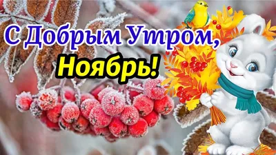 https://twitter.com/aksakova_arina/status/1743853926632558761