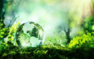 Зелёная планета 2022» — Центр детского творчества \"Хибины\"