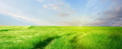 Заставка виндовс зеленое поле - 65 фото