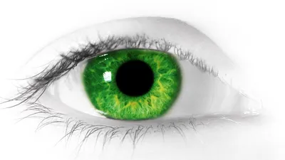 Какие цветные линзы подойдут для зеленых глаз «Ochkov.net»